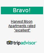 Trip Advisor Bravo!